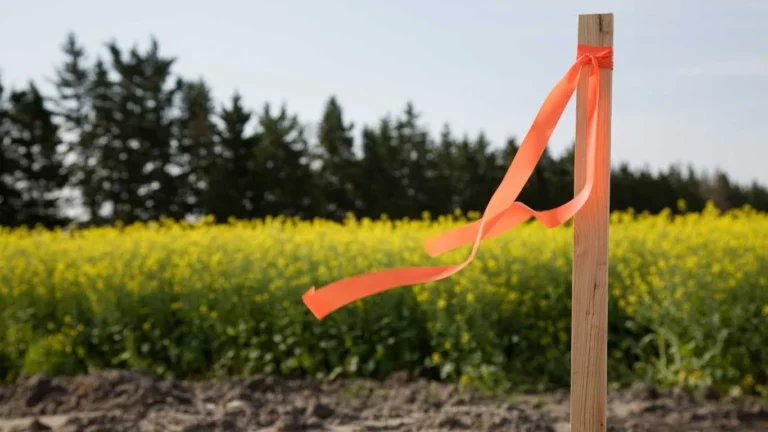 Property Surveying Melbourne